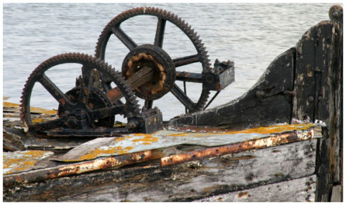 A Rotting Wreck
